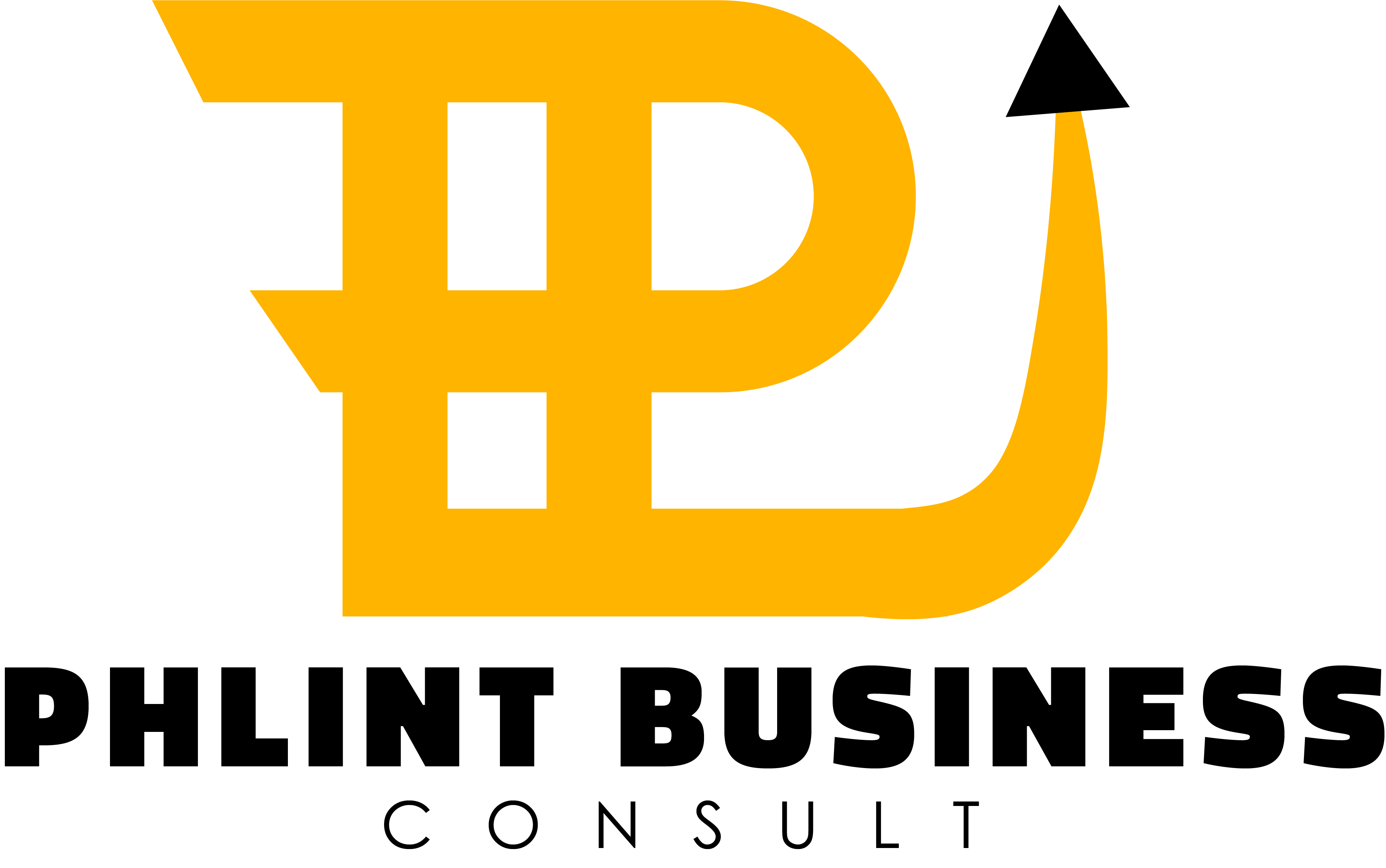 Phlint Consulting Logo